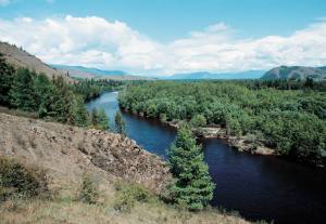 Krasnoya
