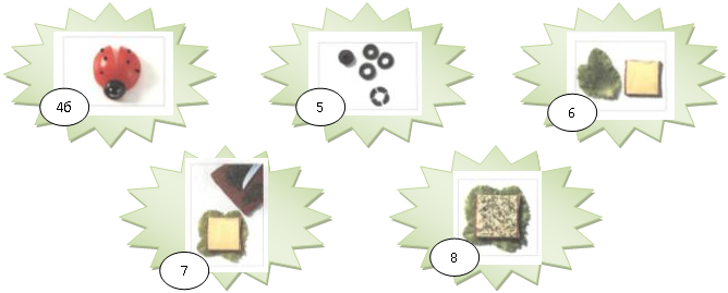 C:\Documents and Settings\Учитель\Мои документы\Мои рисунки\1.jpg,C:\Documents and Settings\Учитель\Мои документы\Мои рисунки\1.jpg,C:\Documents and Settings\Учитель\Мои документы\Мои рисунки\1.jpg,C:\Documents and Settings\Учитель\Мои документы\Мои рисунки\1.jpg,C:\Documents and Settings\Учитель\Мои документы\Мои рисунки\1.jpg
