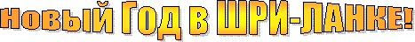 �����
