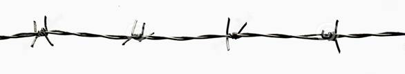 barbed-wire.jpg