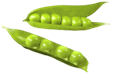 ���� � PNG ������� - ������� ��������, ����� � ������ " ��������� <a title=