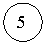 ����: 5