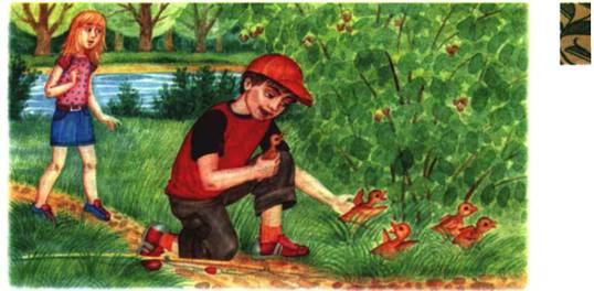 http://shkola.ua/web/uploads/book/97/images/LtgM6ABf.jpg