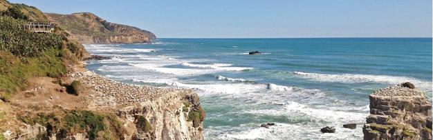 H:\Pictures\New Zealand Mark II\Itinerery Images NZ\Auckland\Muriwai3 17-5.5.jpg