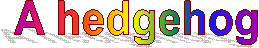 A hedgehog 
