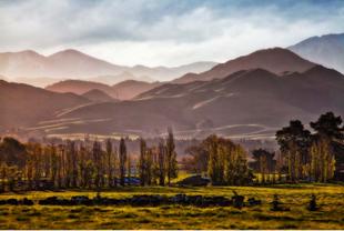 G:\Pictures\New Zealand Mark II\Itinerery Images\Kaikora\Vinery 17-5.5.jpg