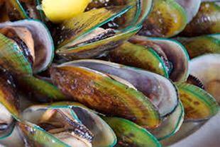 G:\Pictures\New Zealand Mark II\Itinerery Images\Picton\Mussels 1 8.2-5.5.jpg