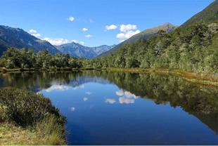 H:\Pictures\New Zealand Mark II\Itinerery Images NZ\Hanmer\Levis Pass\LP 4 8.2-5.5.jpg