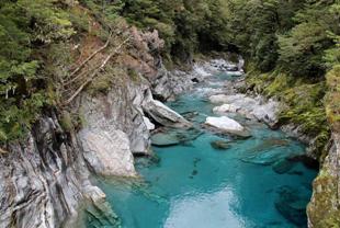H:\Pictures\New Zealand Mark II\Itinerery Images NZ\West Cost\Road\WC 2 8.2-5.5.jpg