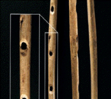http://*****/simf_orkestr/oldest-musical-instrument.gif