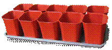 dlya_rassadi05.png