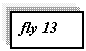 �������: fly 13