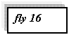 �������: fly 16



