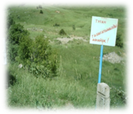 http://www.ukgu.kz/files/30.06/008.jpg