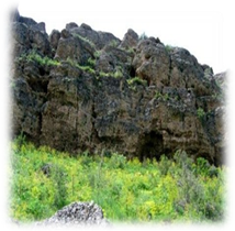 http://www.e-shymkent.kz/galleryp/part1/nature86.jpg