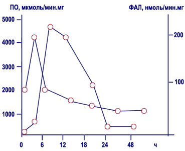 http://www.kazsu.kz/image/pic_09_2.gif