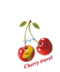 D:\CHERRY-TRAVEL\������� Cherry travel\png ��� ���������� �������\final_3.png