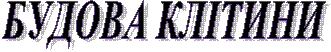 БУДОВА КЛІТИНИ