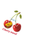 D:\CHERRY-TRAVEL\������� Cherry travel\png ��� ���������� �������\final_3.png