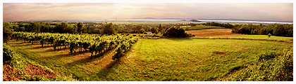 ��������: http://www.akkord-tour.com.ua/UserFiles/Image/Tyru%20v%20Vengrijy/Eger/Eger_11_small.jpg
