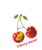 D:\CHERRY-TRAVEL\������� Cherry travel\png ��� ���������� �������\final_3.png
