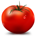 w512hTomato512.png