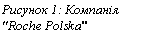 �������: ������� 22: �������� "Roche Polska"