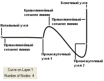 pic1.jpg