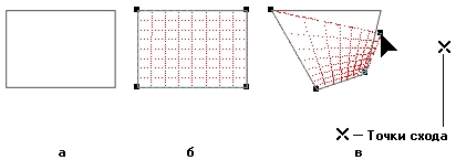 pic2.jpg