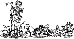 net-317_rs.gif
