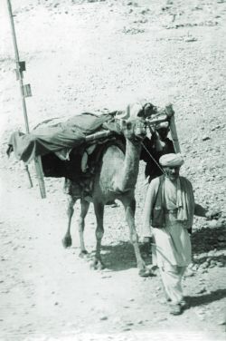 http://army.lv/uploads/.05.jpg