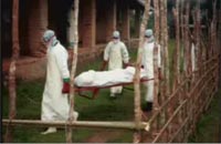 http://zav.minsk.gov.by/images/stories/useful/ebola/3.png