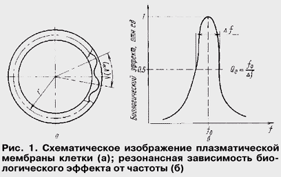 рис.1