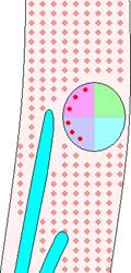 PD5_3_2