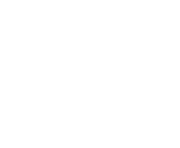 �������: