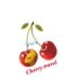 D:\CHERRY-TRAVEL\ЛОГОТИП Cherry travel\png для визуальной вставки\final_3.png