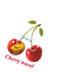 D:\CHERRY-TRAVEL\ЛОГОТИП Cherry travel\png для визуальной вставки\final_3.png