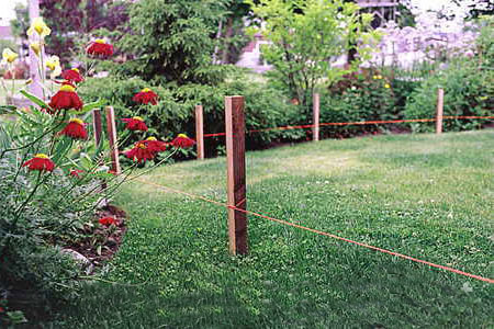 http://mydim.vn.ua/wp-content/uploads/2010/03/plitka0.jpg