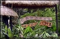 http://www.cotococha.com/fotos/location4.jpg
