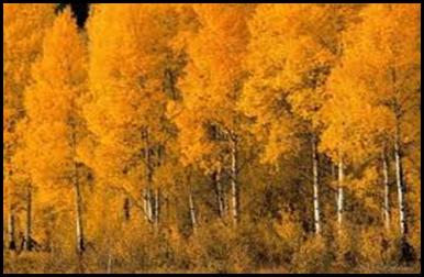 C:\Users\HOME\Desktop\images (36).jpg