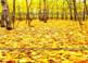 C:\Users\HOME\Desktop\images (37).jpg