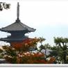 http://voyagejapan.com/upload/1_s_.jpeg