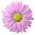 flowers_180
