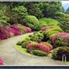 http://voyagejapan.com/upload/1_s_.jpeg