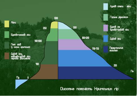C:\Documents and Settings\Zerocool\Рабочий стол\Безымянный.bmp