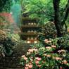 http://voyagejapan.com/upload/1_s_.jpeg