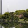 http://voyagejapan.com/upload/1_s_.jpeg