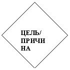 ����: ����/

�������

