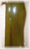 lamina3.jpg