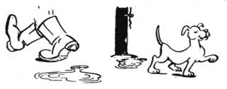 http://lib.galiciadivision.com/selepko/img203.gif